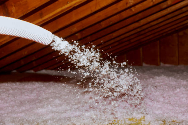 Best Specialized Insulation Services in Lake Panasoffkee, FL