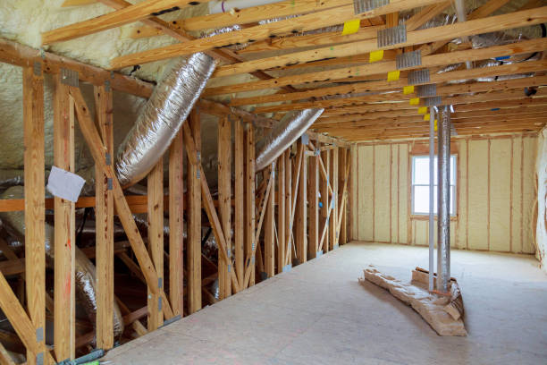 Best Cellulose Insulation in Lake Panasoffkee, FL
