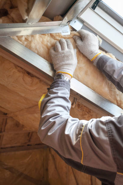 Types of Insulation We Offer in Lake Panasoffkee, FL