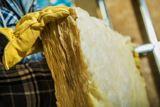 Best Residential Insulation in Lake Panasoffkee, FL