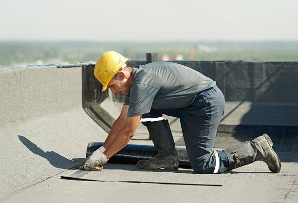 Best Spray Foam Insulation in Lake Panasoffkee, FL