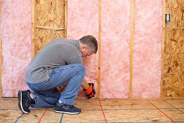 Lake Panasoffkee, FL Insulation Contractor Company
