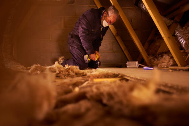Best Energy Efficiency Insulation in Lake Panasoffkee, FL